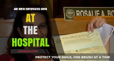 How to Get Your Birth Certificate: Hospital or Government?