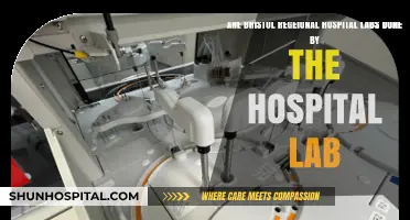 Are Bristol Regional Hospital Labs Conducted In-House? Exploring the Process