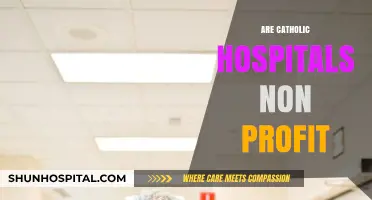 Are Catholic Hospitals Non-Profit? Exploring Their Financial Structure and Mission
