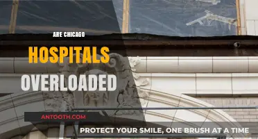 Chicago Hospitals Overloaded: Examining Capacity and Patient Care Challenges