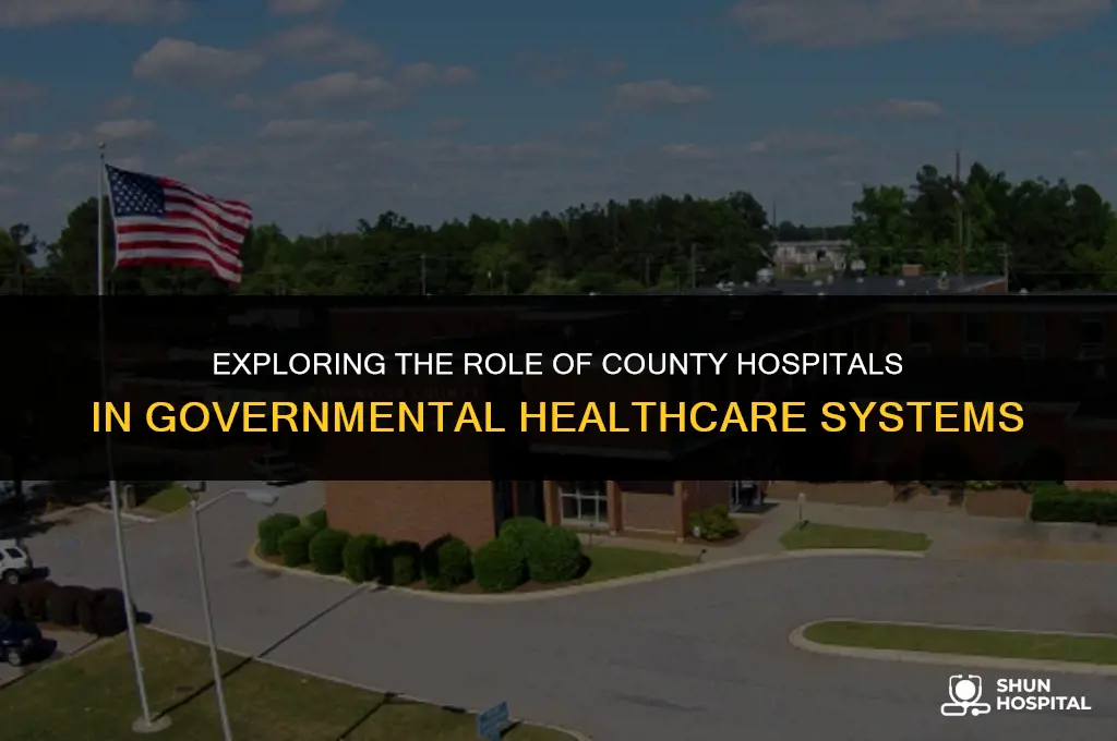 are county hospitals a governmental organization