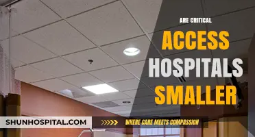 Are Critical Access Hospitals Smaller? Exploring Size and Impact