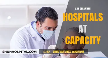 Delaware Hospitals at Capacity: Current Status and Patient Impact