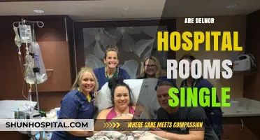 Are Delnor Hospital Rooms Single? Exploring Patient Privacy and Comfort
