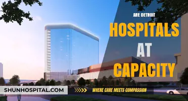 Detroit Hospitals at Capacity: Current Status and Patient Impact