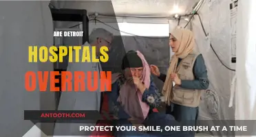 Detroit Hospitals Overwhelmed: Examining the Strain on Healthcare Resources