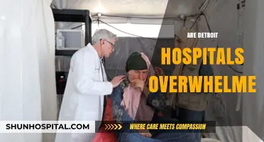 Detroit Hospitals Under Strain: Are They Overwhelmed by Demand?