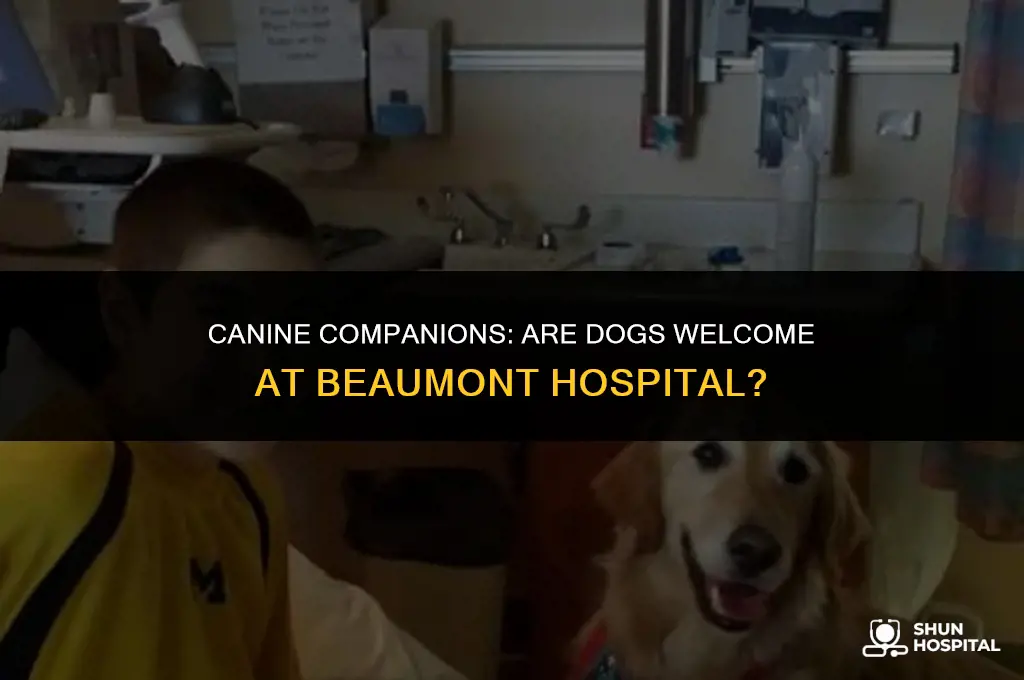 are dogs allowed at beaumont hospital