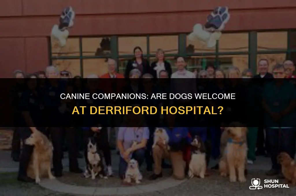 are dogs allowed in derriford hospital