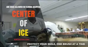 Can Dogs Visit Florida Hospital Center of Ice? Pet Policy Explained