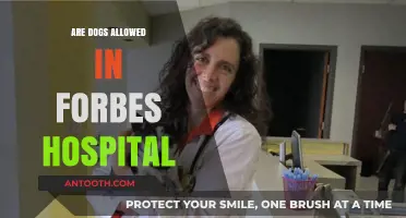 Paws for Healing: Are Dogs Welcome at Forbes Hospital?