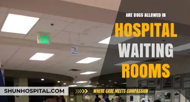 Hospital Waiting Rooms: Can Dogs Come Inside?