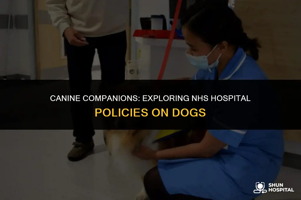 are dogs allowed in hospitals nhs