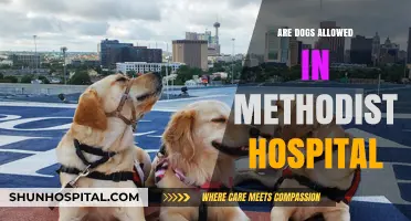 Canine Companions: Are Dogs Welcome at Methodist Hospital?
