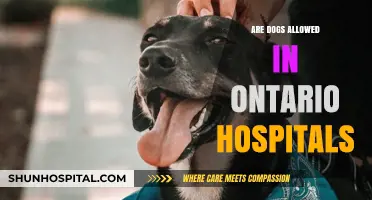 Canine Companions: Are Dogs Allowed in Ontario Hospitals?
