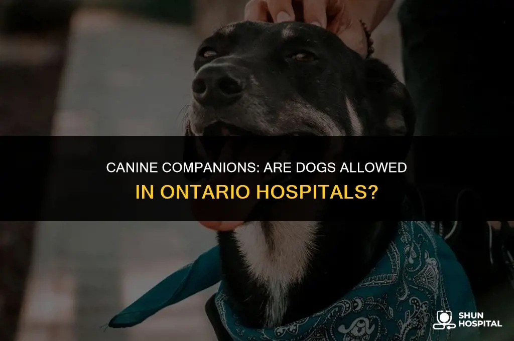 are dogs allowed in ontario hospitals