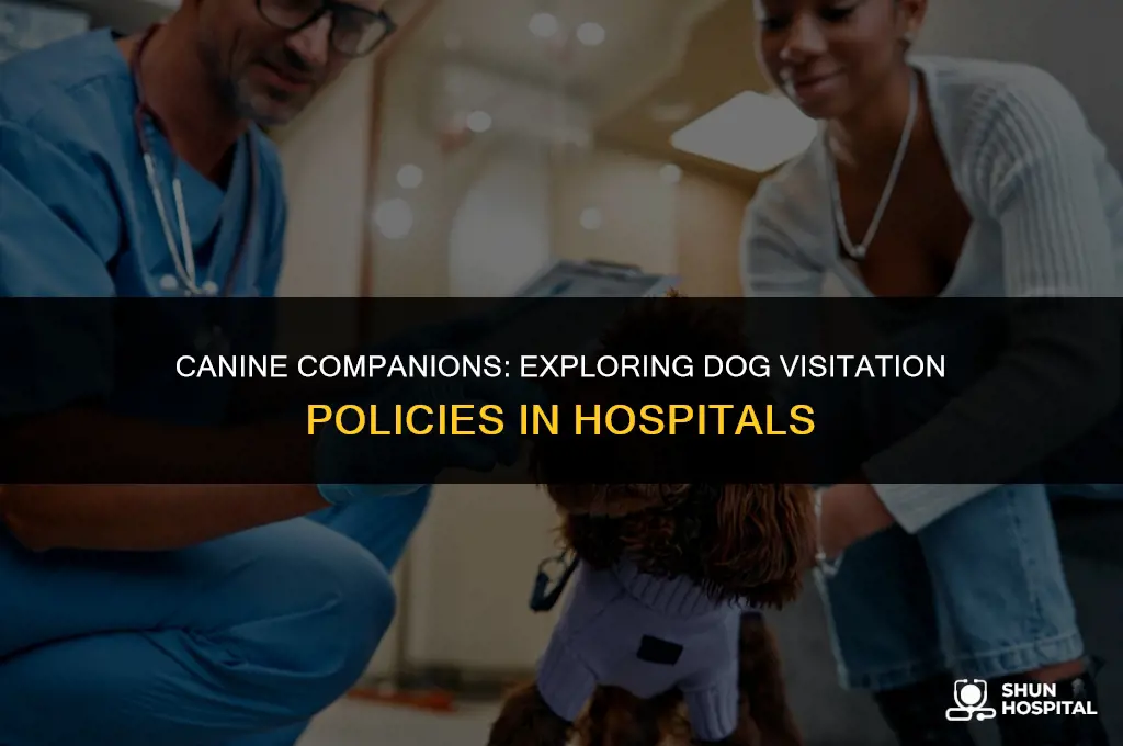 are dogs allowed in uh hospitals