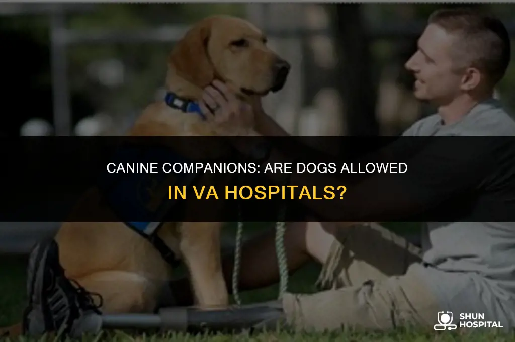 are dogs allowed in va hospitals