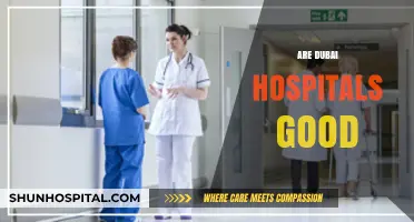 Are Dubai Hospitals Good? Exploring Healthcare Quality and Patient Experiences
