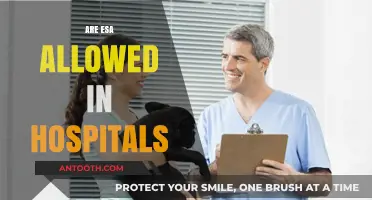 Are Emotional Support Animals Permitted in Hospitals? Rules Explained