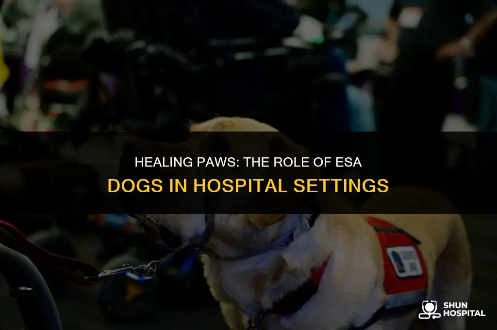 are esa dogs allowed in hospitals