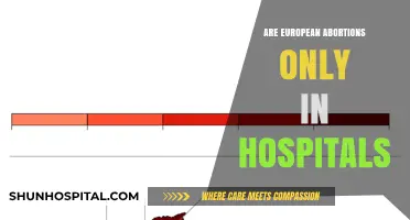 Exploring Abortion Accessibility in Europe: Beyond Hospital Walls