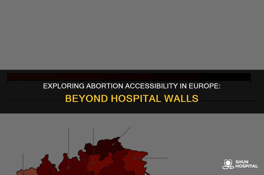 are european abortions only in hospitals