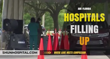 Florida Hospitals Near Capacity: Rising Concerns Amid Surging Patient Numbers