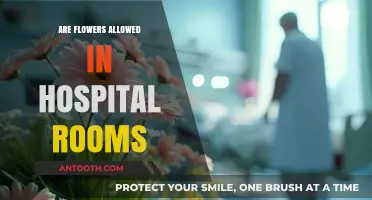 Petals of Comfort: Are Flowers Allowed in Hospital Rooms?