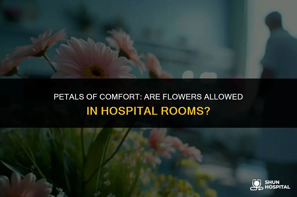 are flowers allowed in hospital rooms