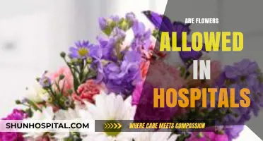 Can You Bring Flowers to Hospitals? Rules and Considerations Explained