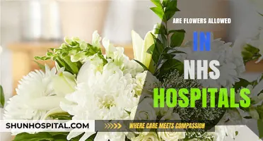 NHS Hospital Flower Policy: A Guide for Visitors and Patients