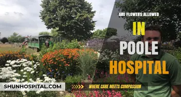 Petals of Comfort: Are Flowers Permitted in Poole Hospital?