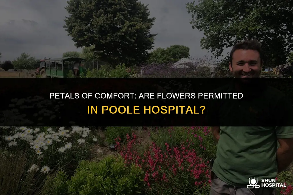 are flowers allowed in poole hospital