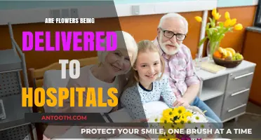 Petals of Care: Are Flowers Still Delivered to Hospitals?