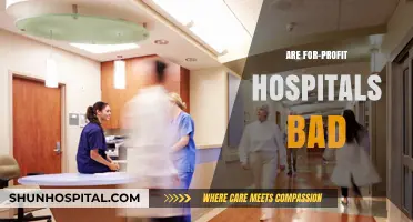 For-Profit Hospitals: Ethical Concerns, Patient Care, and Healthcare Impact