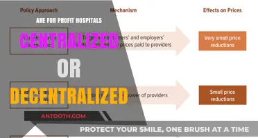 For-Profit Hospitals: Centralized or Decentralized?