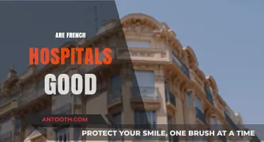 Exploring the Quality of Healthcare in French Hospitals: A Comprehensive Review