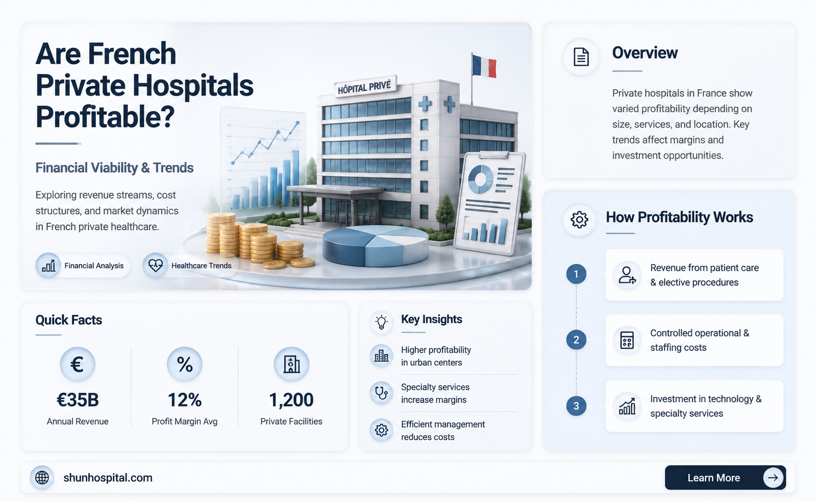 are french private hospitals profitable