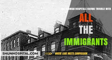 German Hospitals: Challenges Amid Rising Immigrant Patient Numbers Explored