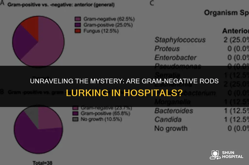 are gram negative rods from hospitals