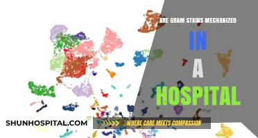 Gram Stains: Hospital Automation for Quick Results