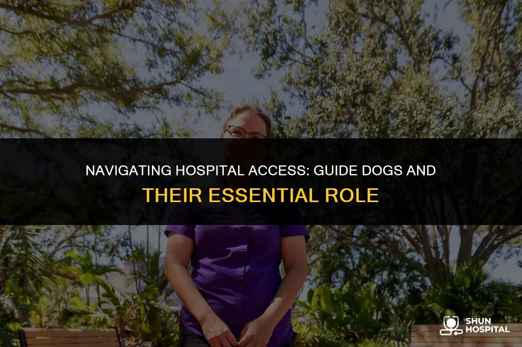 are guide dogs allowed in hospitals