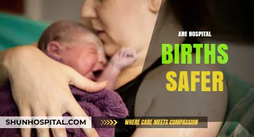 Hospital Births vs. Home Births: Which Option Ensures Safer Deliveries?