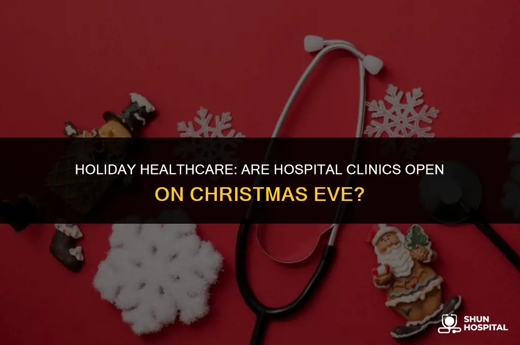 are hospital clinics open christmas eve