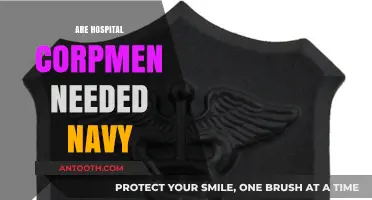 Are Hospital Corpsmen Essential to the U.S. Navy's Medical Operations?