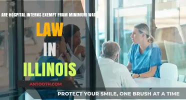 Illinois Minimum Wage Law: Do Hospital Interns Qualify for Exemption?