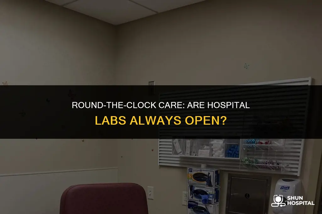 are hospital labs open 24 7