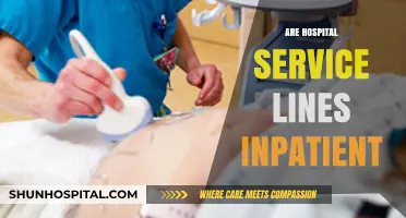 Understanding Inpatient Care: Are Hospital Service Lines Truly Inpatient?