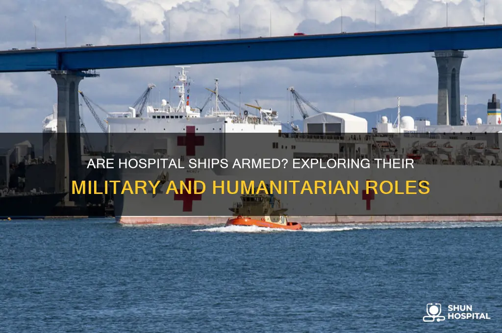 are hospital ships armed
